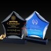 Kỷ niệm chương pha lê PL172